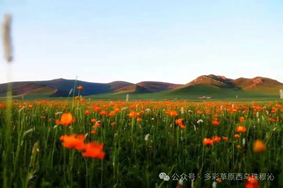 ͼƬ